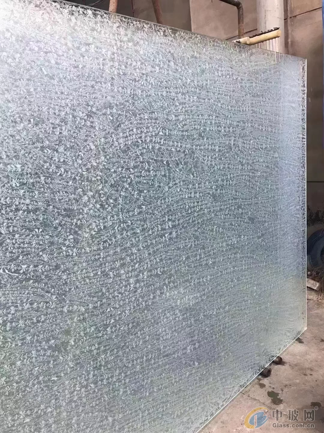 پروڈکٹ کا حوالہ تصویر